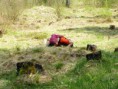 /album/fotogalerie-o-mne/jak-se-ciha-na-jesterky-jpg/